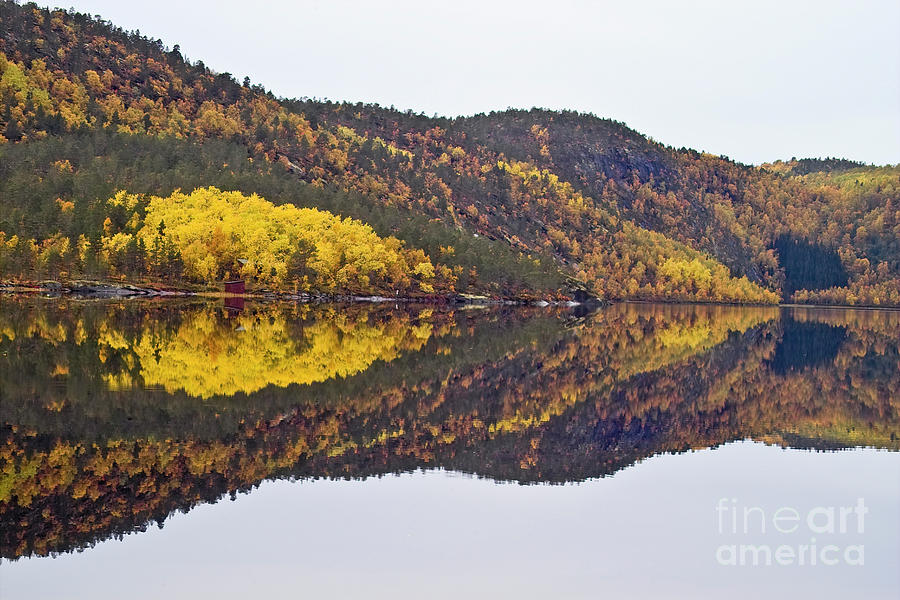 Autumn reflections 2 Photograph by Heiko Koehrer-Wagner