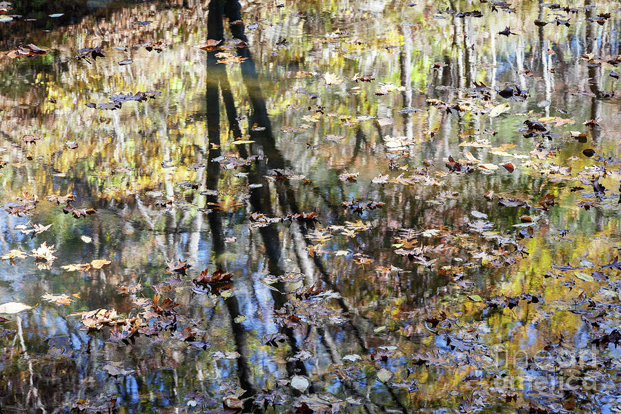 Autumn Reflections 3 Photograph by Dennis Hedberg