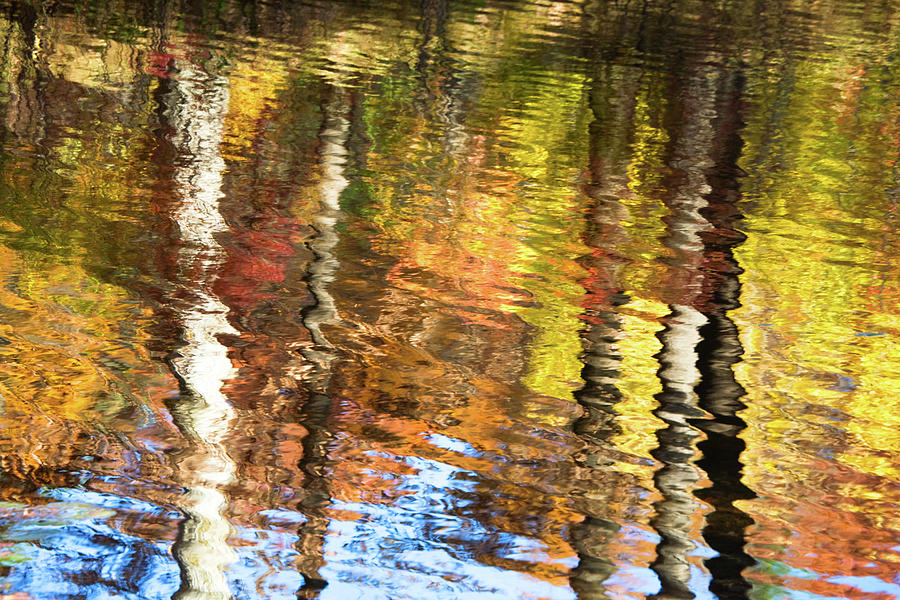 Autumn Reflections-3 Photograph by Diane Macdonald