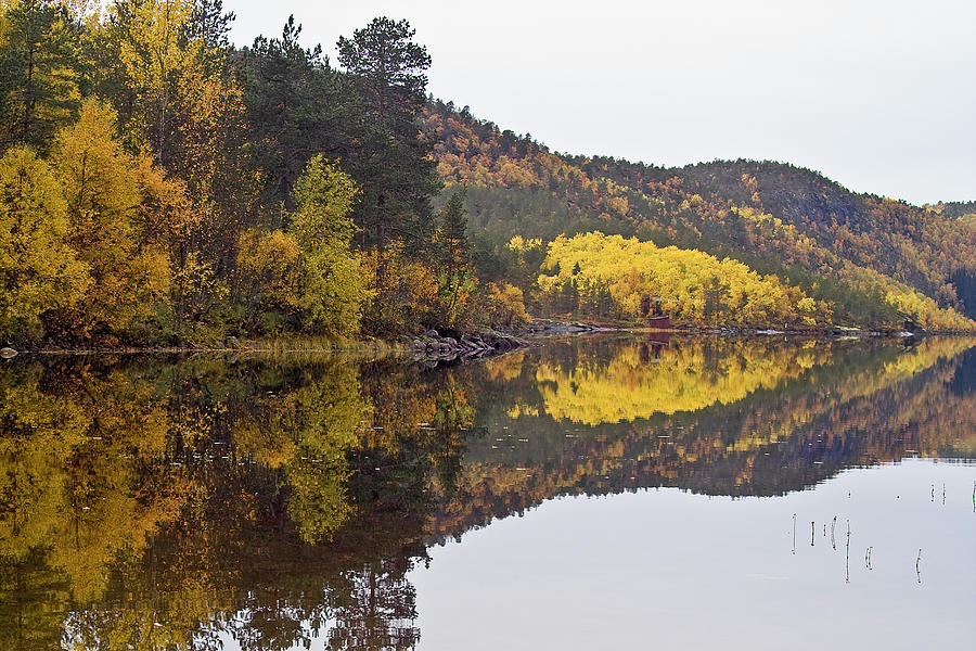 Autumn reflections 3 Photograph by Heiko Koehrer-Wagner