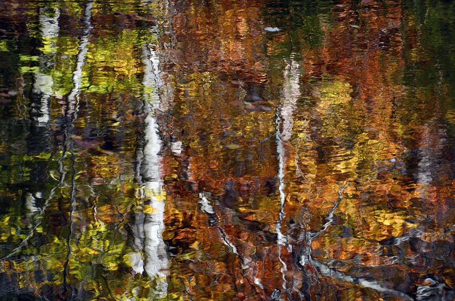 Autumn Reflections Photograph by Ann Bridges