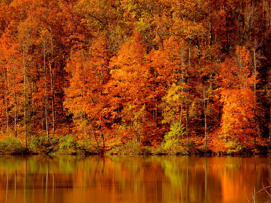 Autumn Reflections Photograph by Arlane Crump - Fine Art America