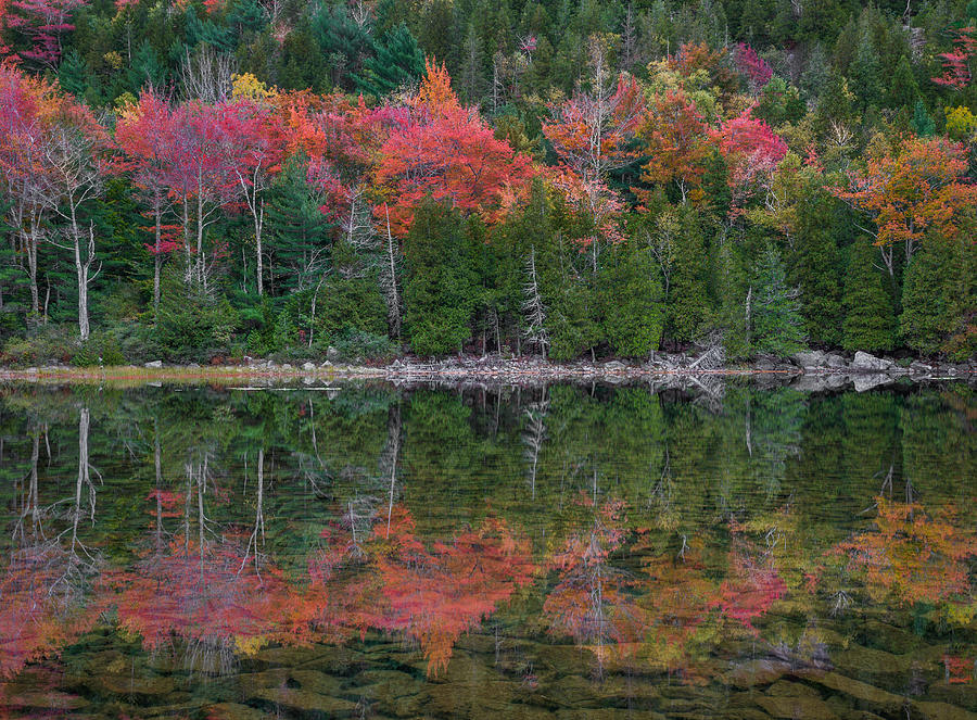 Autumn Reflections Photograph by Arti Panchal
