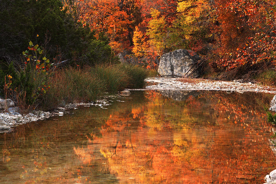 Autumn Reflections at Lost Maples Photograph by Paul Huchton