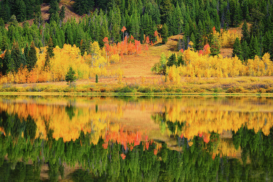 Autumn Reflections at Two Ocean Lake Photograph by Greg Norrell