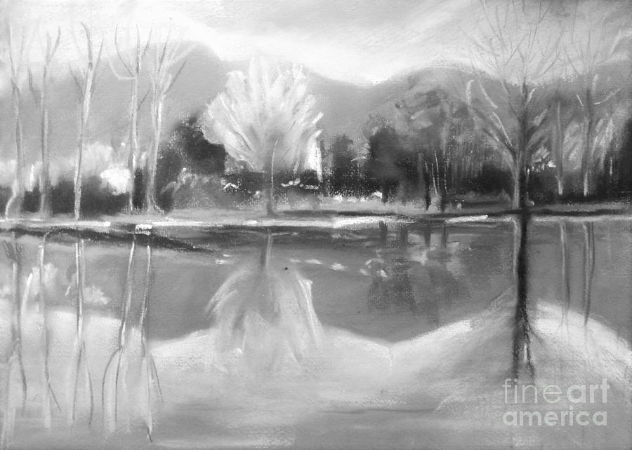 Autumn Reflections - black and white Pastel by Angela Cartner