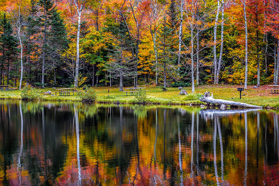 Fall Photograph - Autumn Reflections by Black Brook Photography