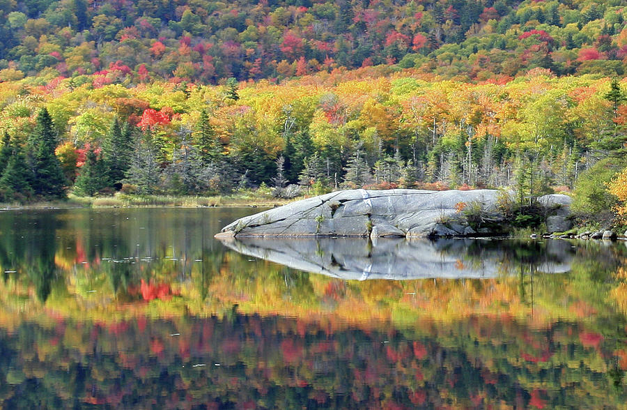 Autumn reflections Photograph by David Freuthal