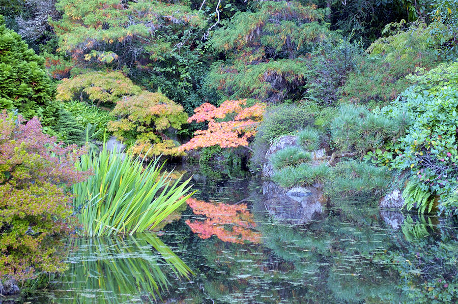 Autumn Reflections Photograph by Emerita Wheeling