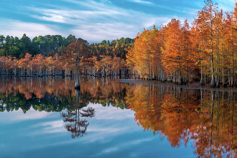 Autumn Reflections Photograph by Eric Albright