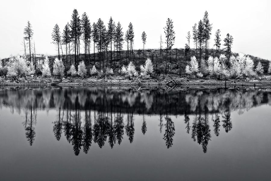Autumn Reflections II Black and W Photograph by Allan Van Gasbeck