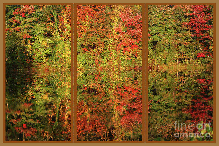 Autumn Reflections In A Window Photograph by Smilin Eyes Treasures