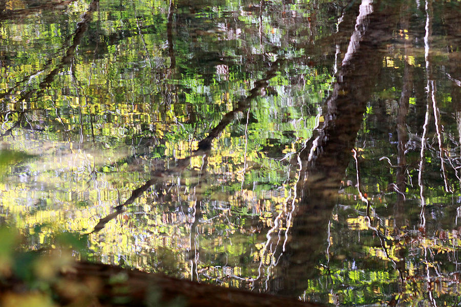 Nature Photograph - Autumn reflections in stream by George Ferrell