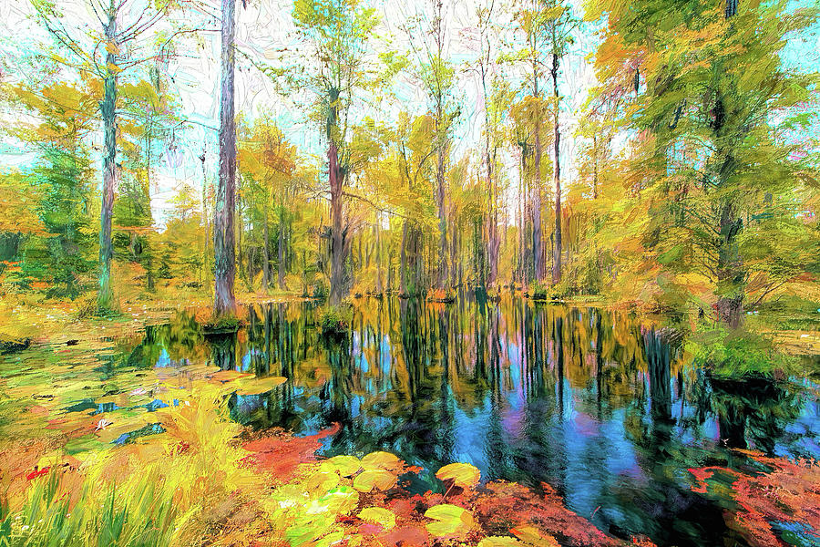 Autumn Reflections in the Swamp AP Painting by Dan Carmichael