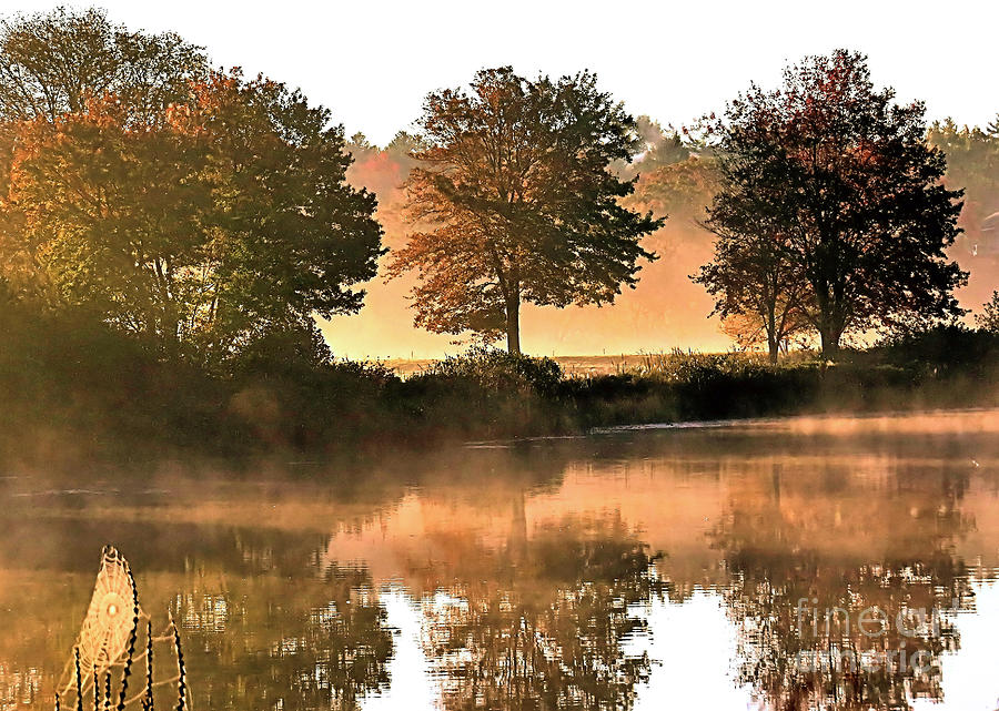 Autumn Reflections Photograph by Janice Drew