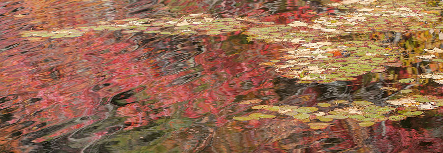 Autumn Reflections Photograph by Jean-Pierre Ducondi