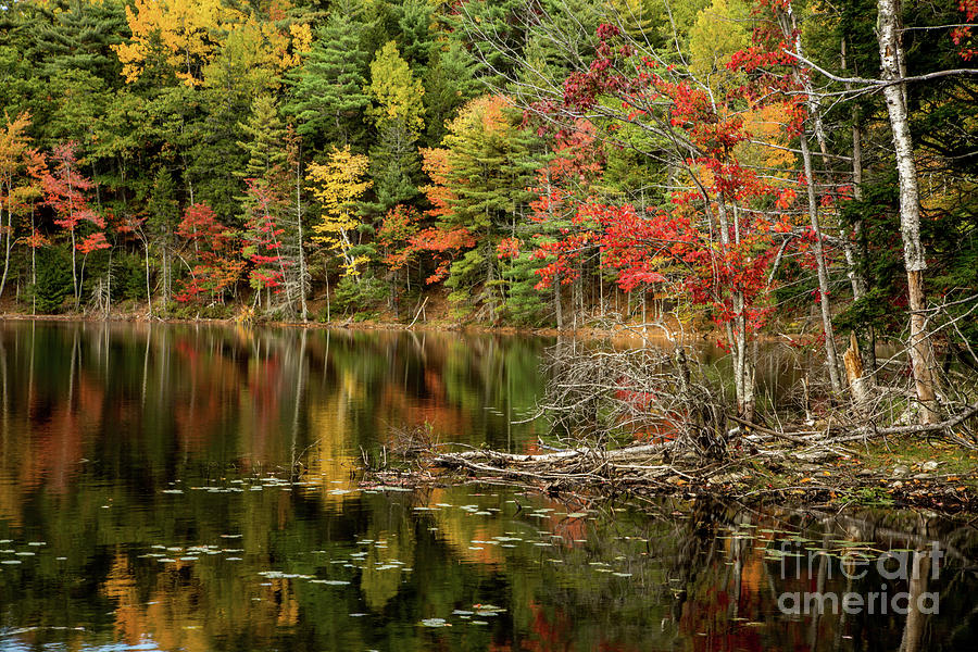 Autumn Reflections Photograph by Karin Pinkham