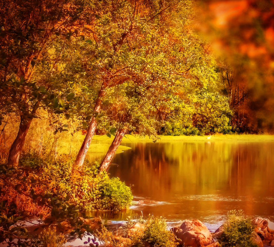 Autumn Reflections Photograph By Kafra Art Fine Art America