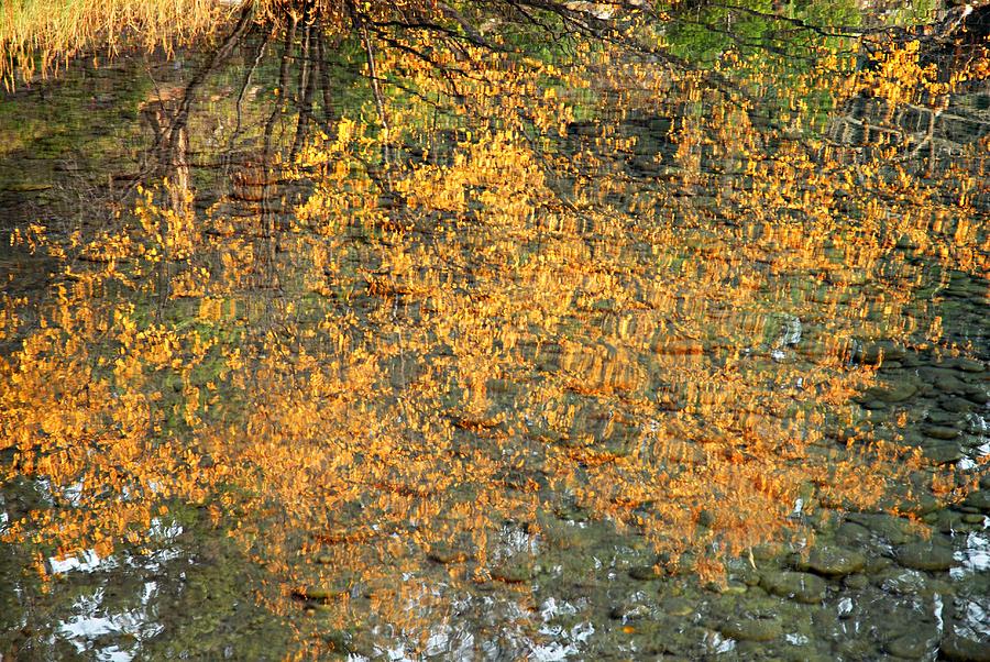 Autumn Reflections Photograph by Larry Ricker