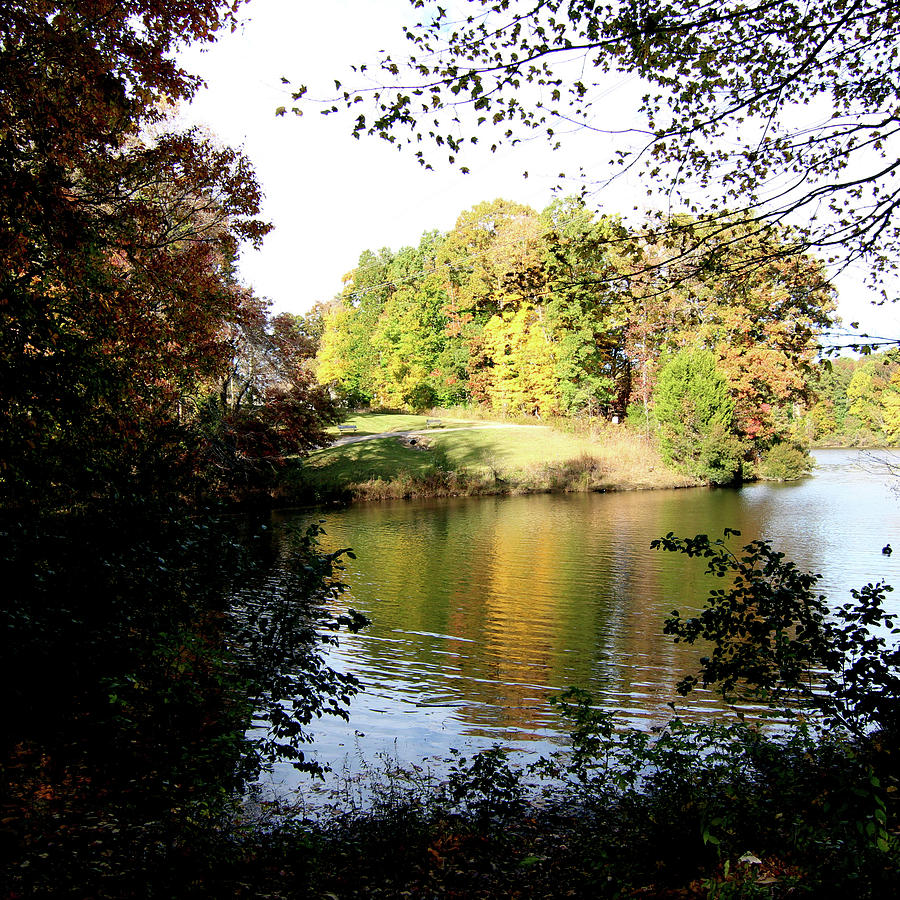 Autumn Reflections by Linda Ritlinger Autumn Reflections by Linda Ritlinger