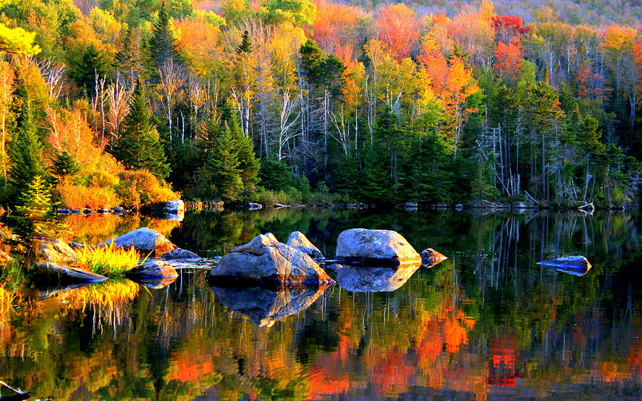Fall Photograph - Autumn Reflections - Noyes Pond by Suzanne DeGeorge