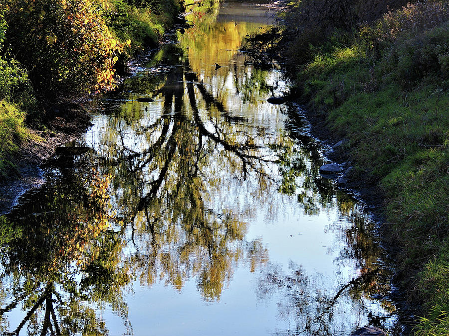 Autumn Reflections On Creek Photograph