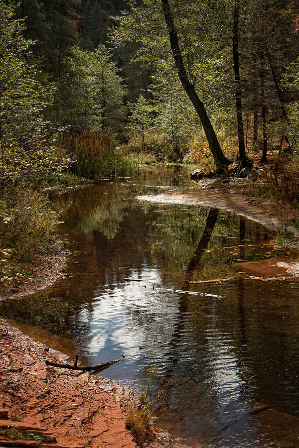 Autumn Reflections on Oak Creek Photograph by Teresa Wilson