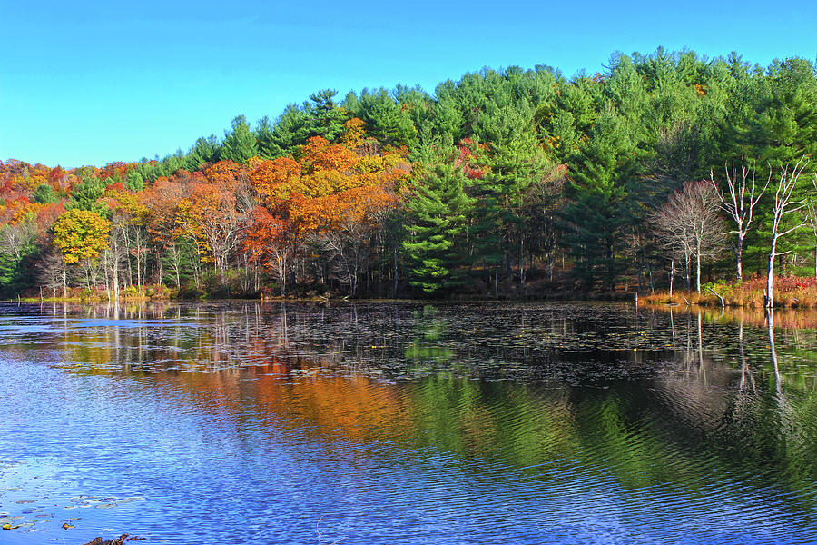 Autumn Reflections On Rifle Range Pond, New England Photograph