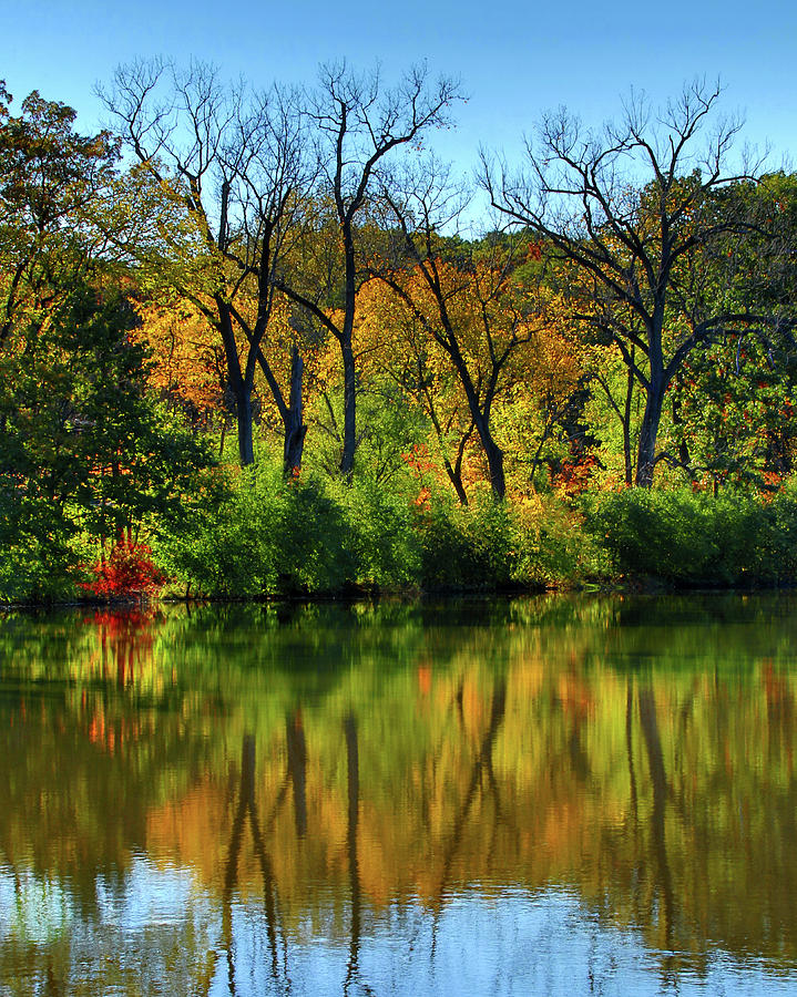 Autumn Reflections on Salt Creek III Photograph by Ira Marcus