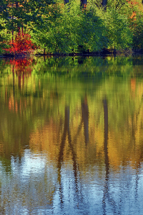 Autumn Reflections on Salt Creek Photograph by Ira Marcus