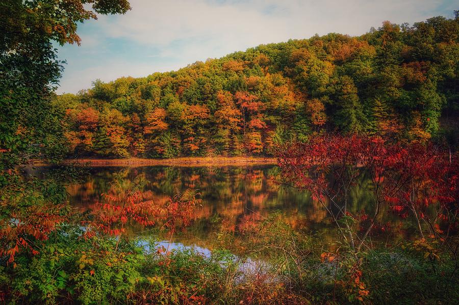 Nature Photograph - Autumn Reflections On The Clarion River by Shelley Smith