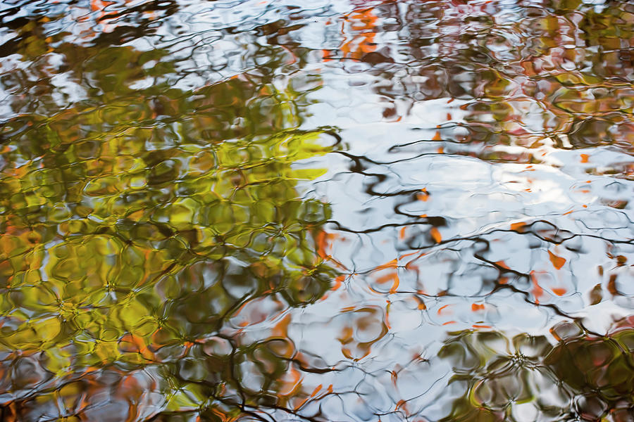 Fall Photograph - Autumn Reflections on water at the Shinjuku Gyoen National Garden by Andria Patino