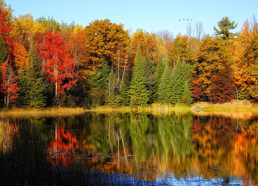 Autumn Reflections Photograph by Peg Runyan