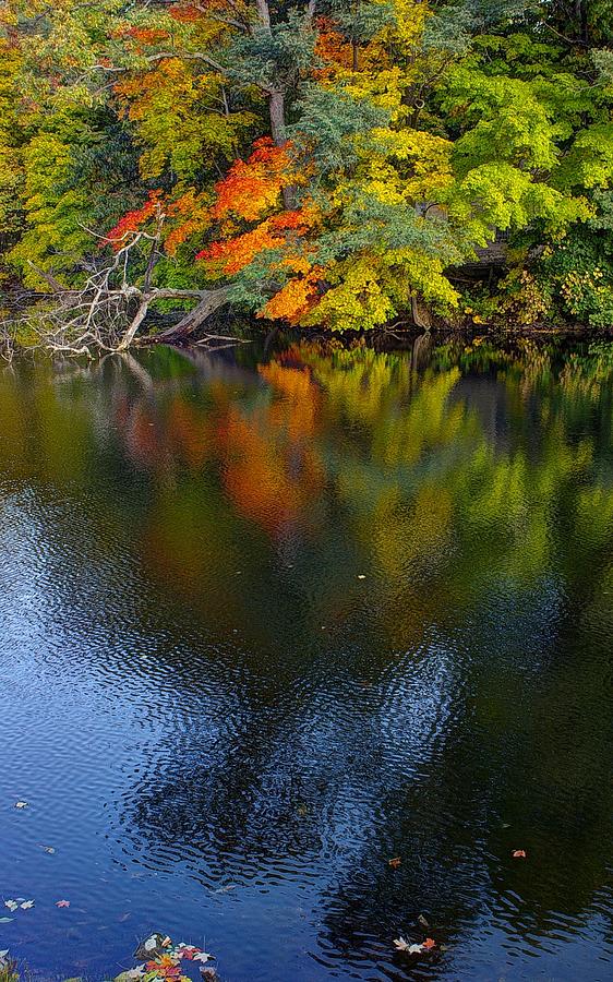 Autumn Reflections Photograph by Randy Pollard