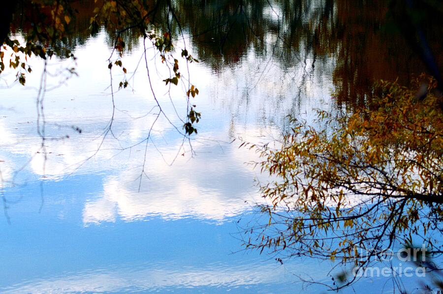 Autumn Reflections Photograph by Robyn King