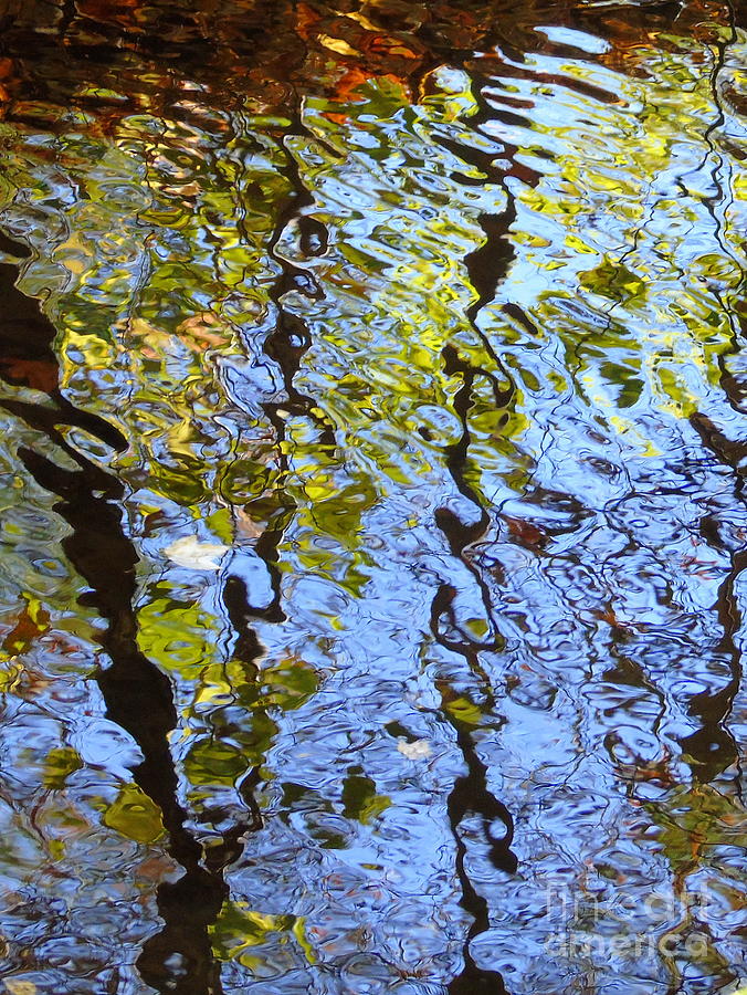 Autumn Reflections Photograph by Susan Lafleur