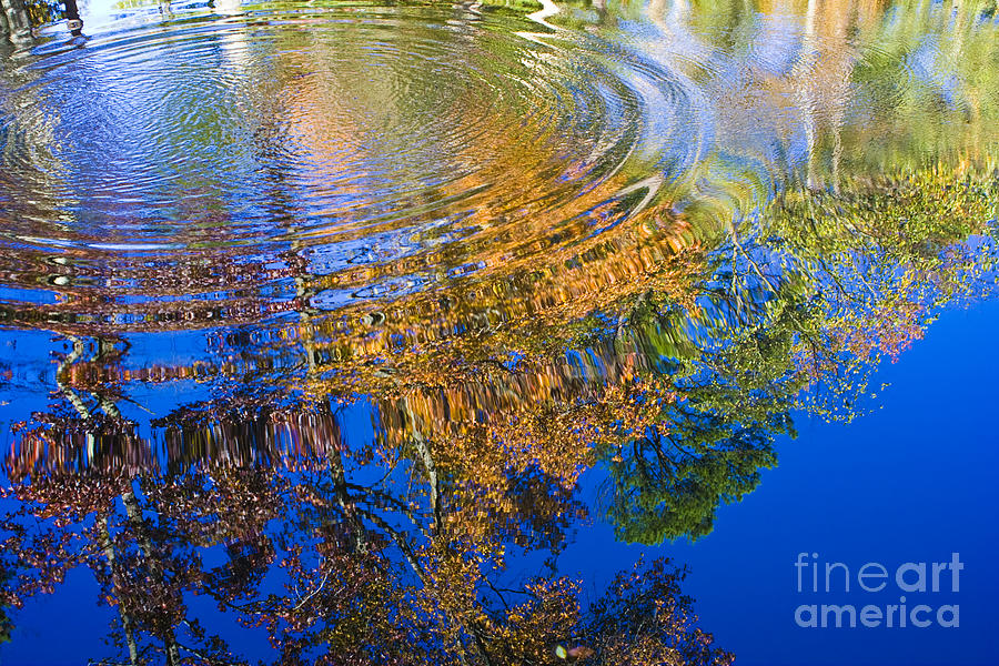 Autumn Reflections Photograph by Tim Hightower