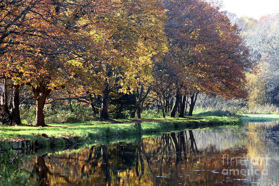 Autumn reflections Wey canal Surrey UK Photograph by Julia Gavin