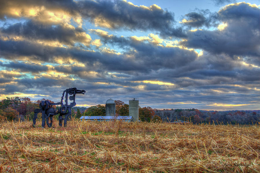 Autumn Rest The Iron Horse Sunrise Farm Art Photograph by Reid Callaway
