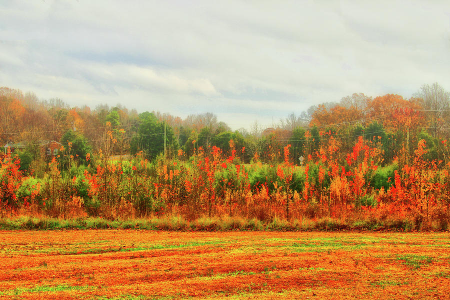 Autumn Ripens in Goochland Virginia Photograph by Ola Allen