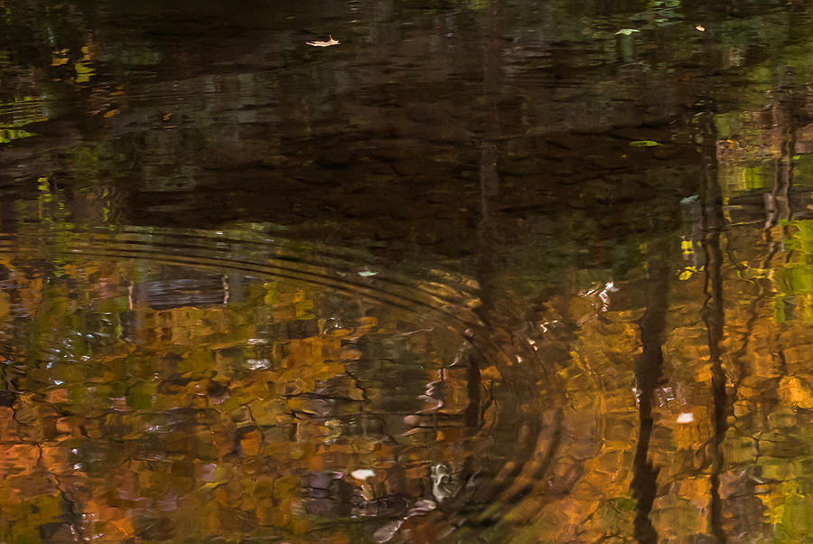 Autumn Ripples Abstract Photograph by Terry DeLuco