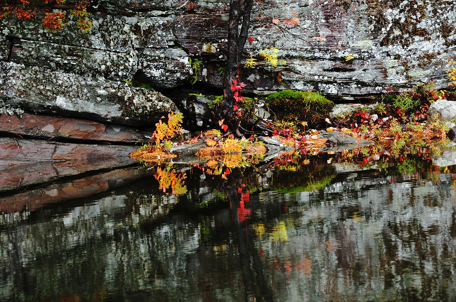 Autumn Ripples Photograph by Debbie Oppermann