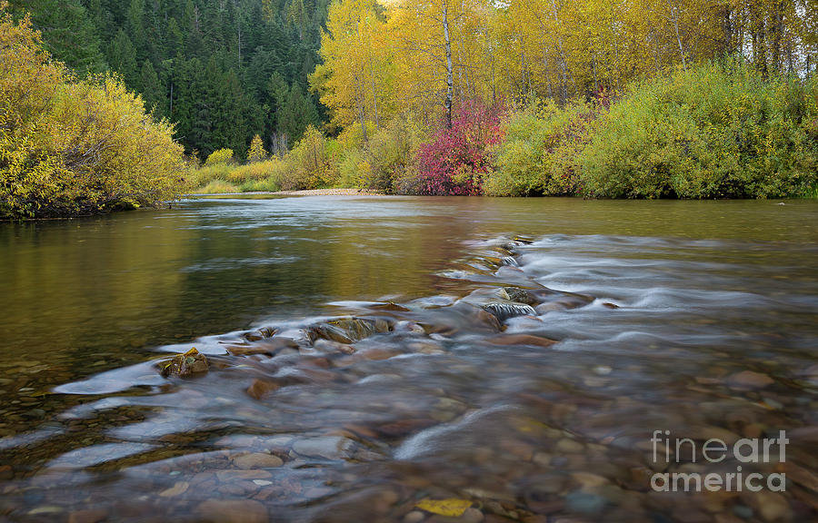 Autumn Ripples Photograph by Idaho Scenic Images Linda Lantzy