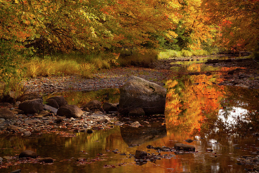 Autumn River Afternoon Photograph by Irwin Barrett