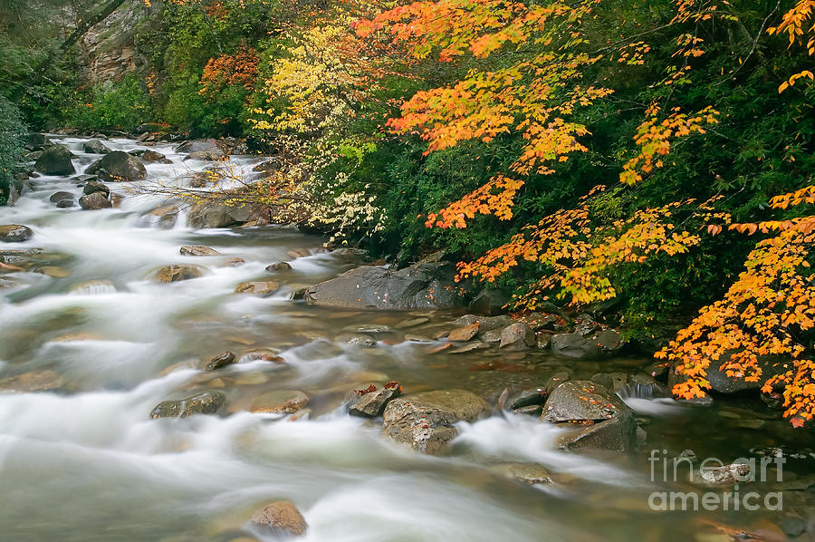 Autumn River Cascades I Photograph by Clarence Holmes