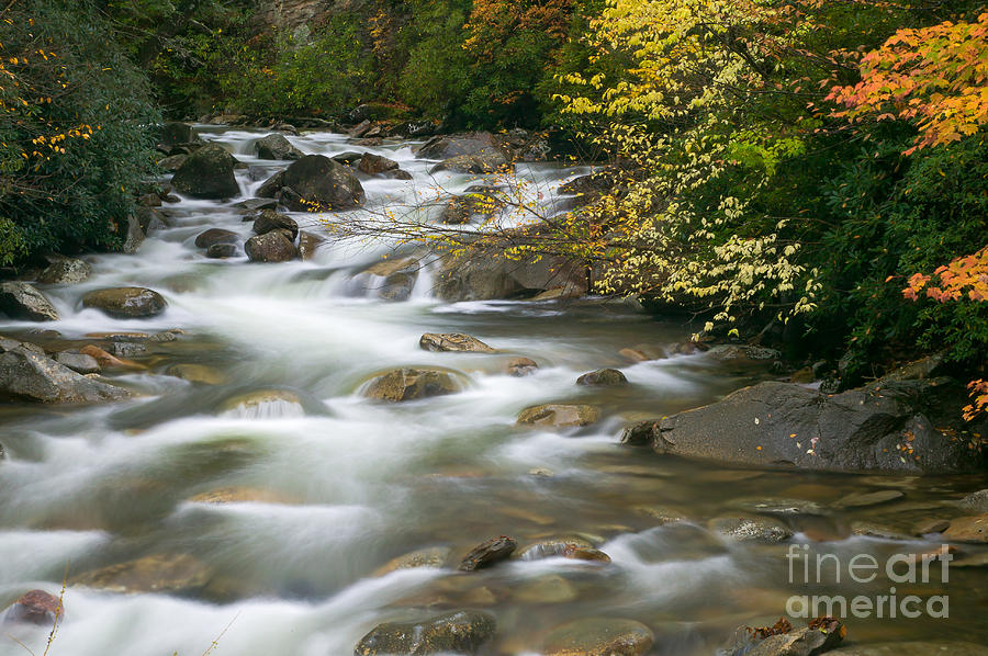 Autumn River Cascades II Photograph by Clarence Holmes