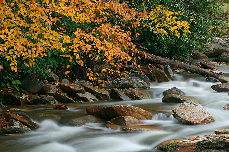 Autumn River Cascades IV Photograph by Clarence Holmes