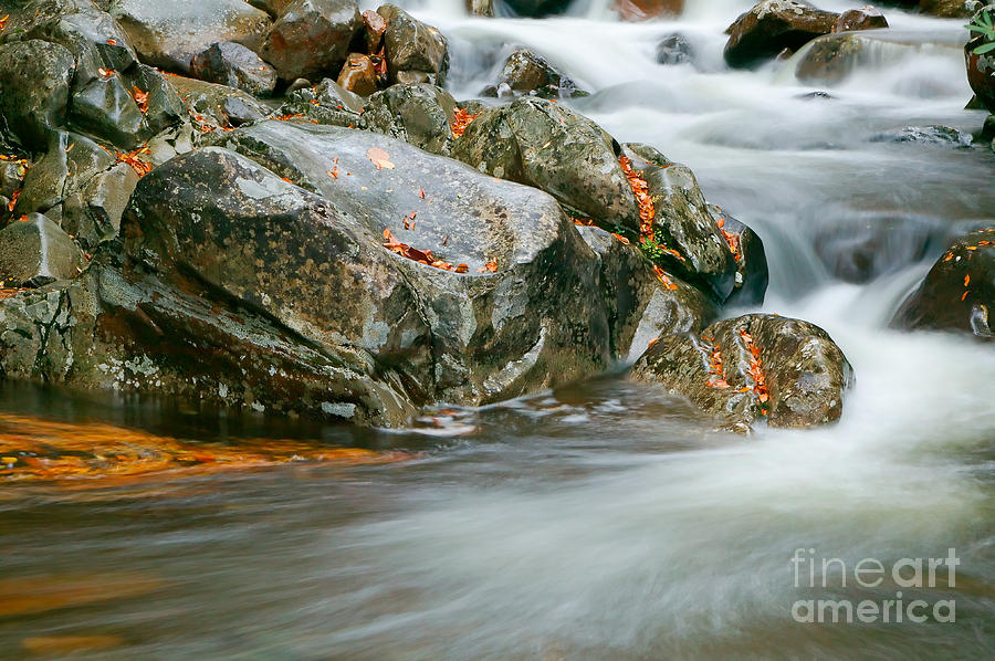 Fall Photograph - Autumn River Cascades VI by Clarence Holmes