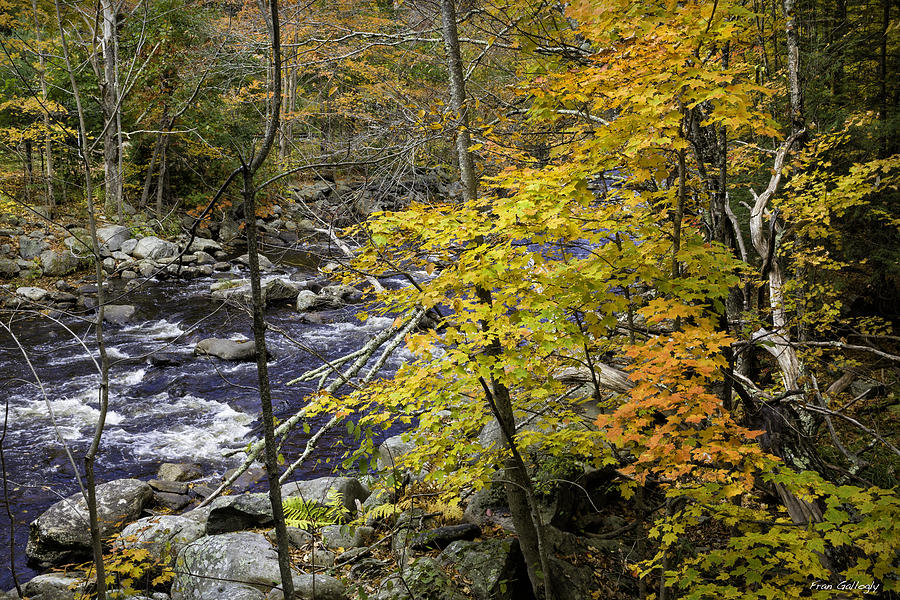 Autumn River Photograph by Fran Gallogly