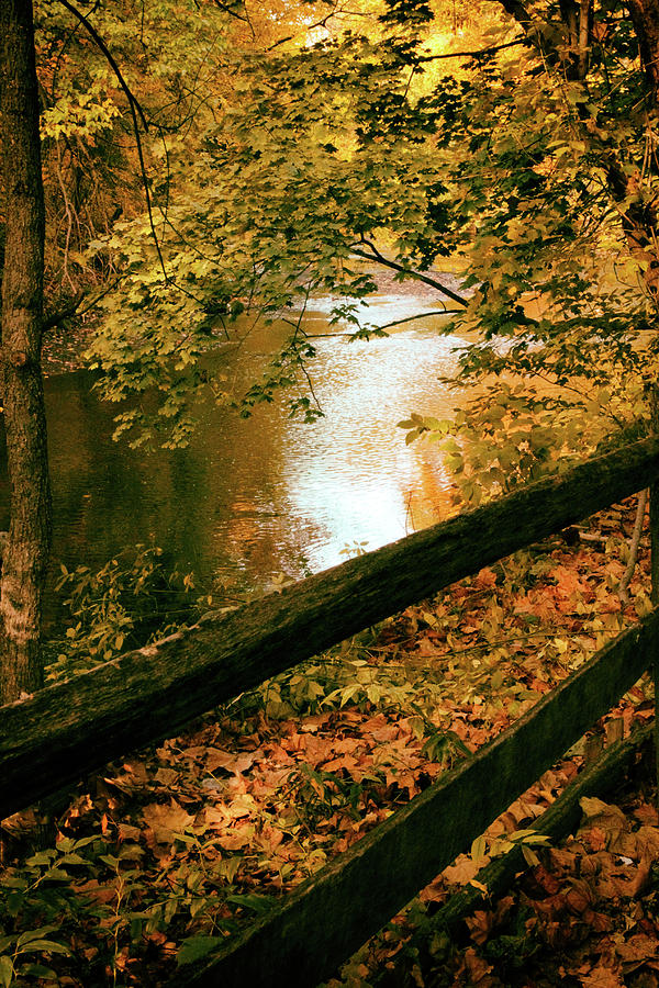 Autumn River Glow Photograph by Jessica Jenney